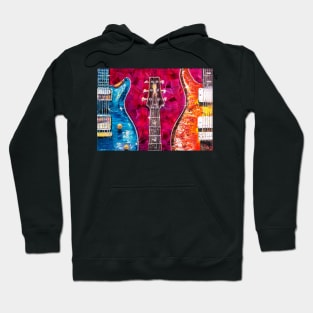 Famous Birds on The Fretboard Hoodie